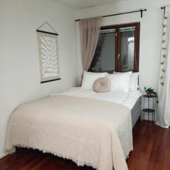 Rovaniemi Spacious Central Studio for 4