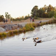 Descansa en la naturaleza , céntrico