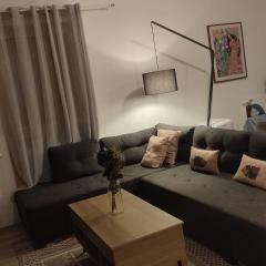 T3 lumineux avec balcon, proche des transports