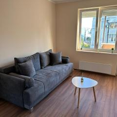 Vojvoda Apartment