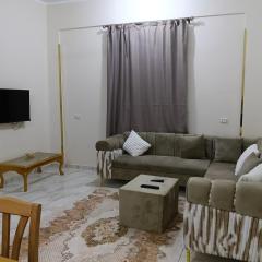 القصير البحر الاحمر