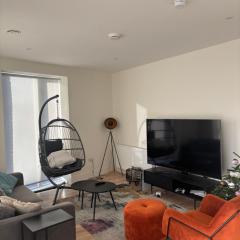 Modern-Spacious Dublin Apartment