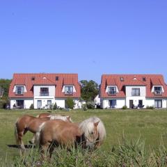 Holiday apartment in Vitte with swimming pool