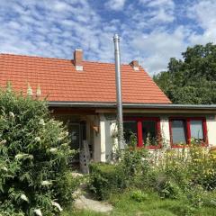 Little Green Basedow