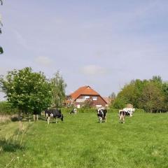 Holiday apartment Linde