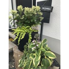 Holiday apartment with 1 bedroom