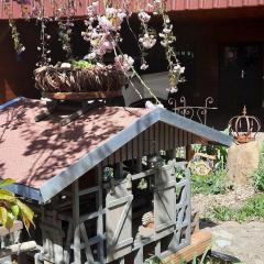 Holiday apartment Wulf-