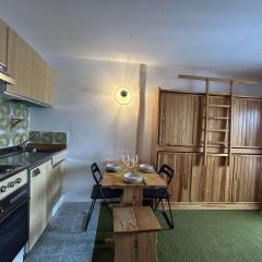 Studio Montagnard 2-3 Pers, Balcon, Parking - FR-1-330D-153