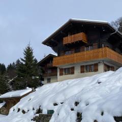 Chalet Savoyard avec WIFI, proche pistes de ski - FR-1-733-183