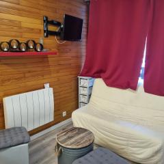 Plagne Bellecôte - T2 pour 4 pers - Animaux admis - FR-1-181-2873