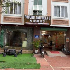 Phương Anh Villa 3