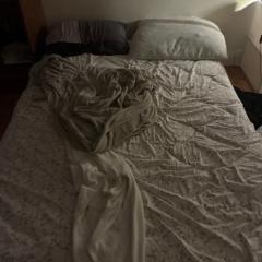 Cozy room in syosset