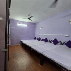 Livzo - Purple house