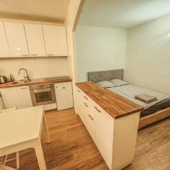 7 Sunny Hideaway Studio Place des Vosges