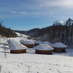 Glamping Bionic healing village