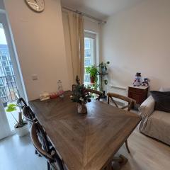 Danube 3 Beds with Big Balcony parking 10euro a day