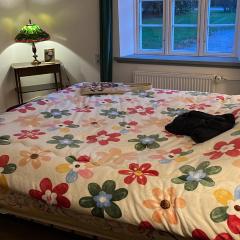 BeBaBopS Homestay Sønderborg