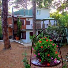 Huge Holiday Home in Marina di Castagneto Carducci near Sea