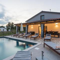 Modern villa Bibali Istra with pool in Buje