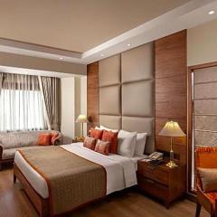 Hotel Velvet Crown Airport Stay WIth- Free Airport Pickup Delhi Airport