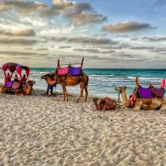 Bedrum Propum Kombinum007