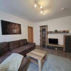 Mikra Homes24 in Glauchau