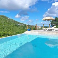 Villa with Private Pool in Upper Prince's Quarter