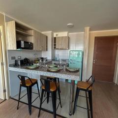 Dpto por dia Chillán 909