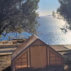 Cimarte The Path Lukove