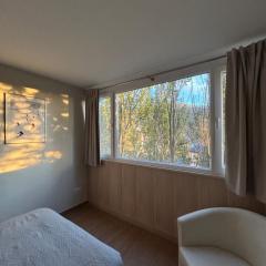 Primavera Premium Sierra Nevada 2