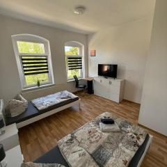 FLEX Aparts - große, möblierte 3-Raum Wohnung in Zwickau