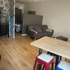 Charming apartment Toulouse - Palais de Justice