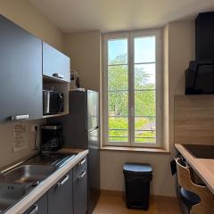 Les Appartements de La Maison Verneuil