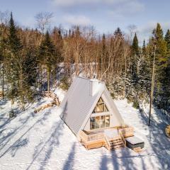 Canadian Classic - Spa - Sauna - Fire - Forest