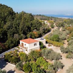 Chaihoutes stone House and Villa into Olive farm in Zia