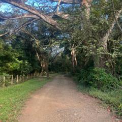 Centro Holistico Casa Orion