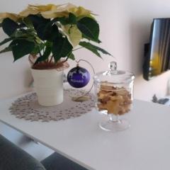 Apartament Bimba & Free Parking