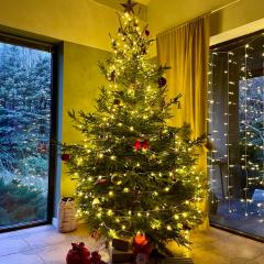 Forest Villa w pobliżu Suntago