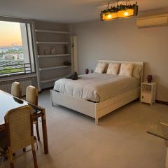 Lujoso Loft La Moraleja