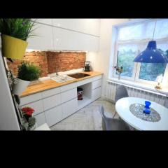 Cazare CERONAV CityCenter - DisneyTV!