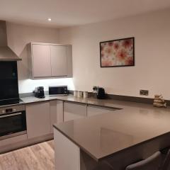 City Centre-Contactors-Professionals-Luxury Apartment