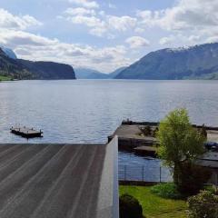 Grodås Lake View Apartment