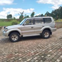 Toyota Landcruiser Prado