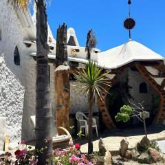 Floresta Concón Mantagua