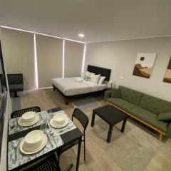 Checkinchile d620 Departamento nuevo a pasos del Movistar Arena Parque Ohiggins y metro