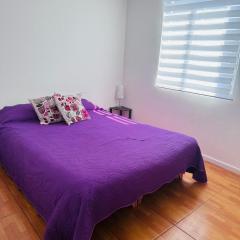 Departamento Playa Dichato