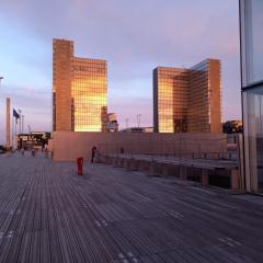 Magique lune de miel New Paris