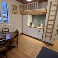 Appartement central avec grande terrasse Sud pour 4 personnes - FR-1-836-61