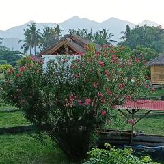 Volcano View Villa sleeps x 4