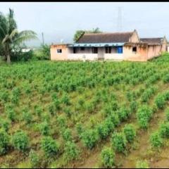 Tent City Resort Malshej Junnar Agro